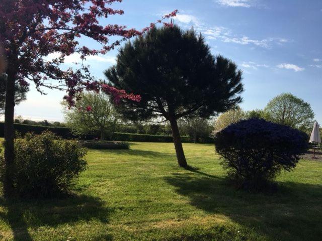 Le Clos Saint Jean Dragey Exterior photo